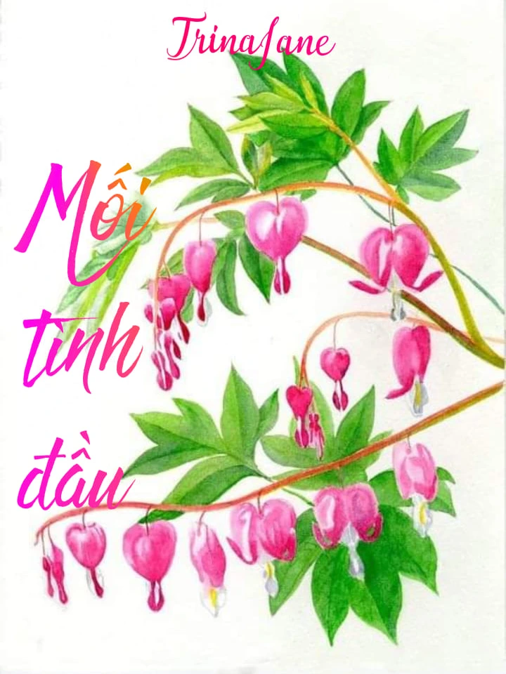 Mối tình đầu