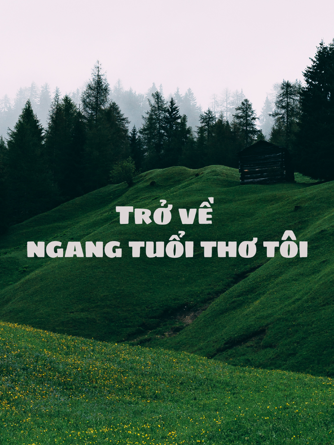 TRỞ VỀ NGANG TUỔI THƠ TÔI