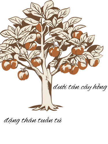 Dưới tán cây hồng