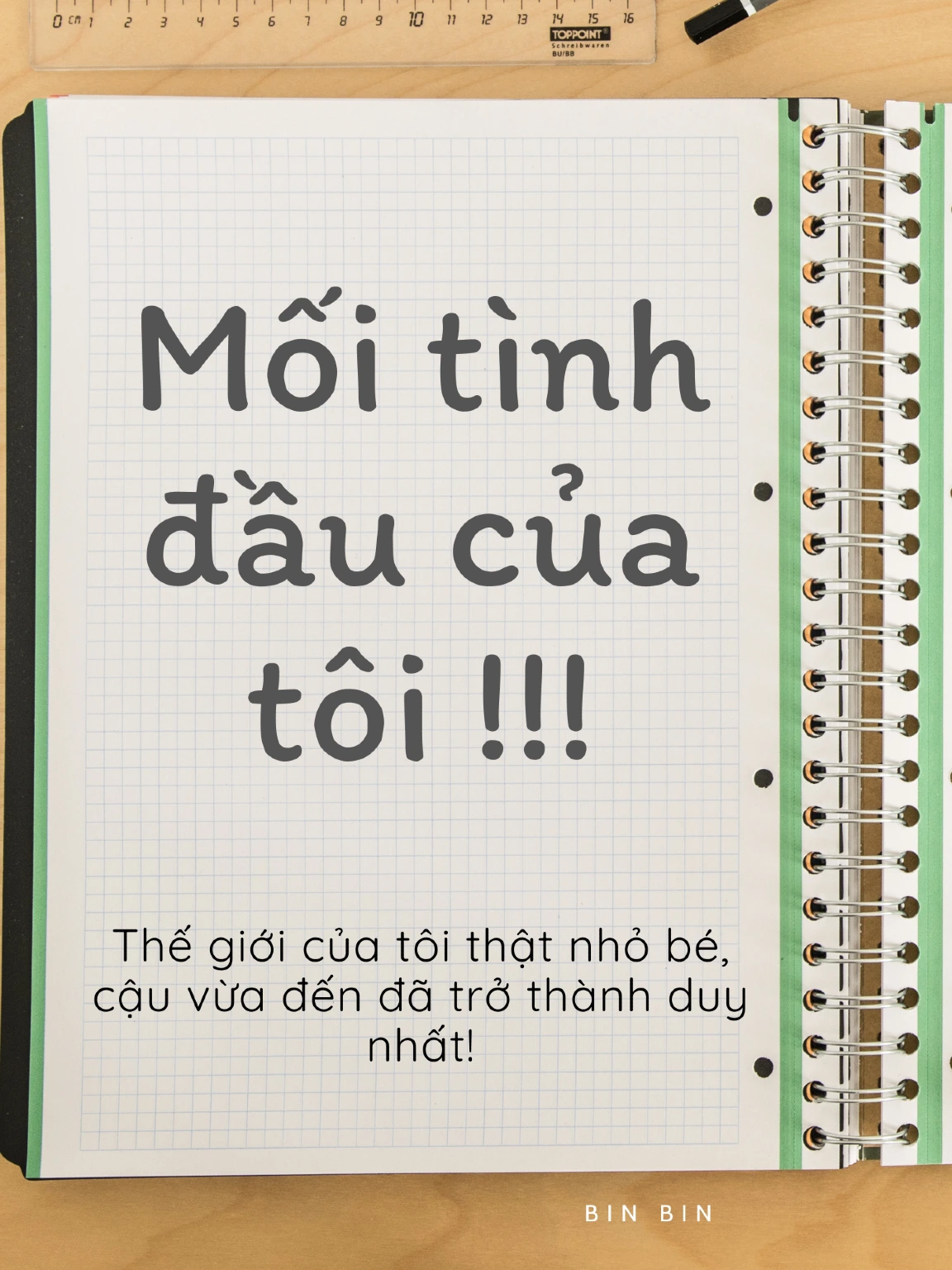 Mối tình đầu của tôi