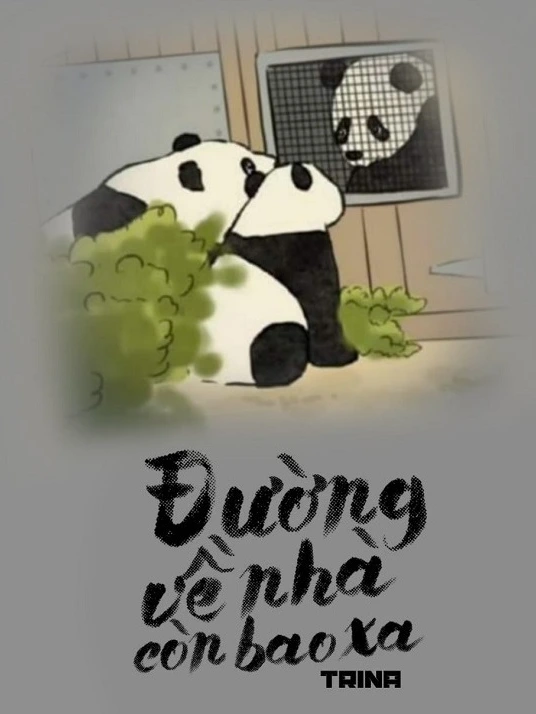 Đường về nhà còn bao xa